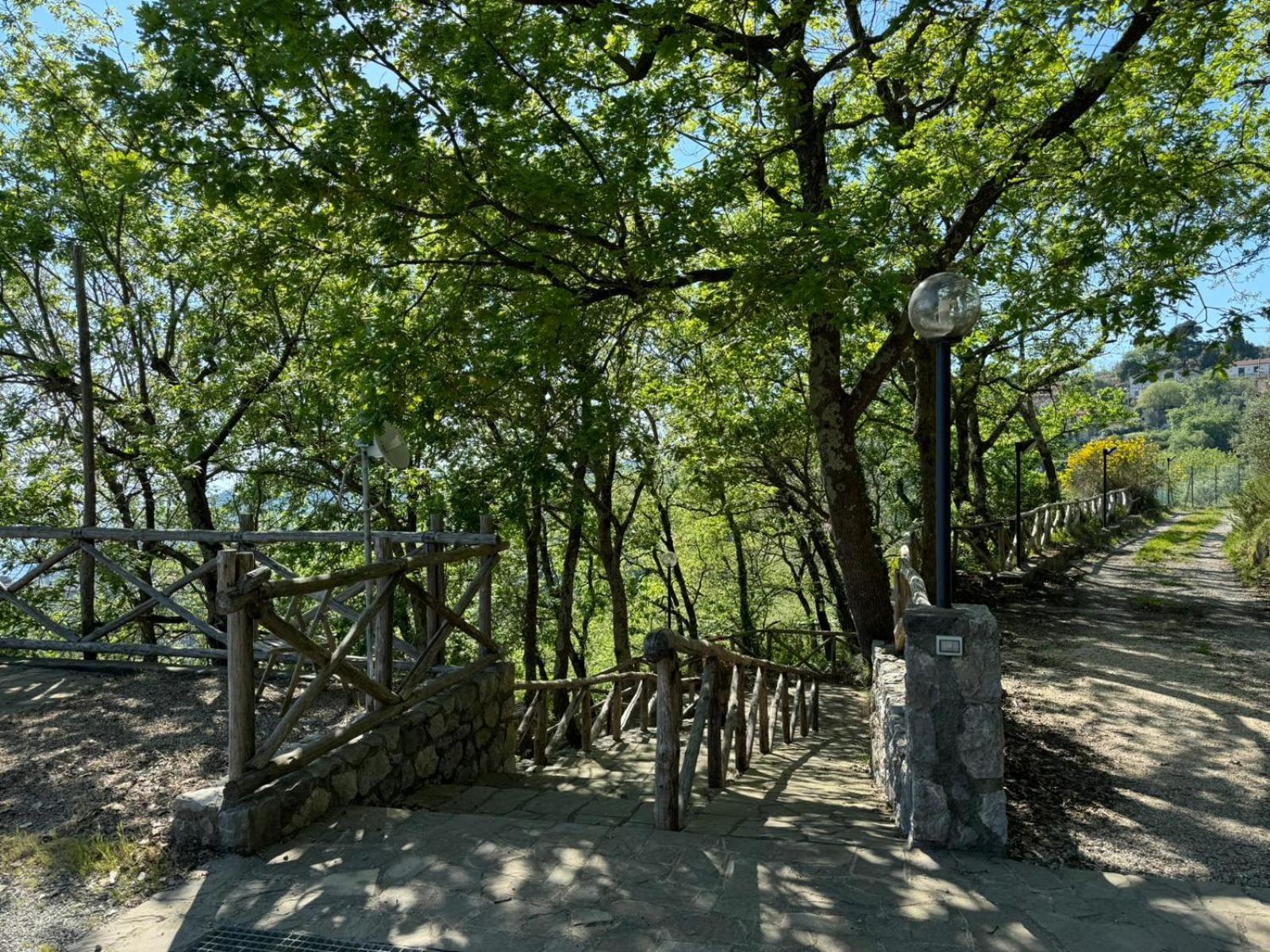 Bed and Breakfast Groove'N'Grove SantʼAgata sui Due Golfi Zewnętrze zdjęcie