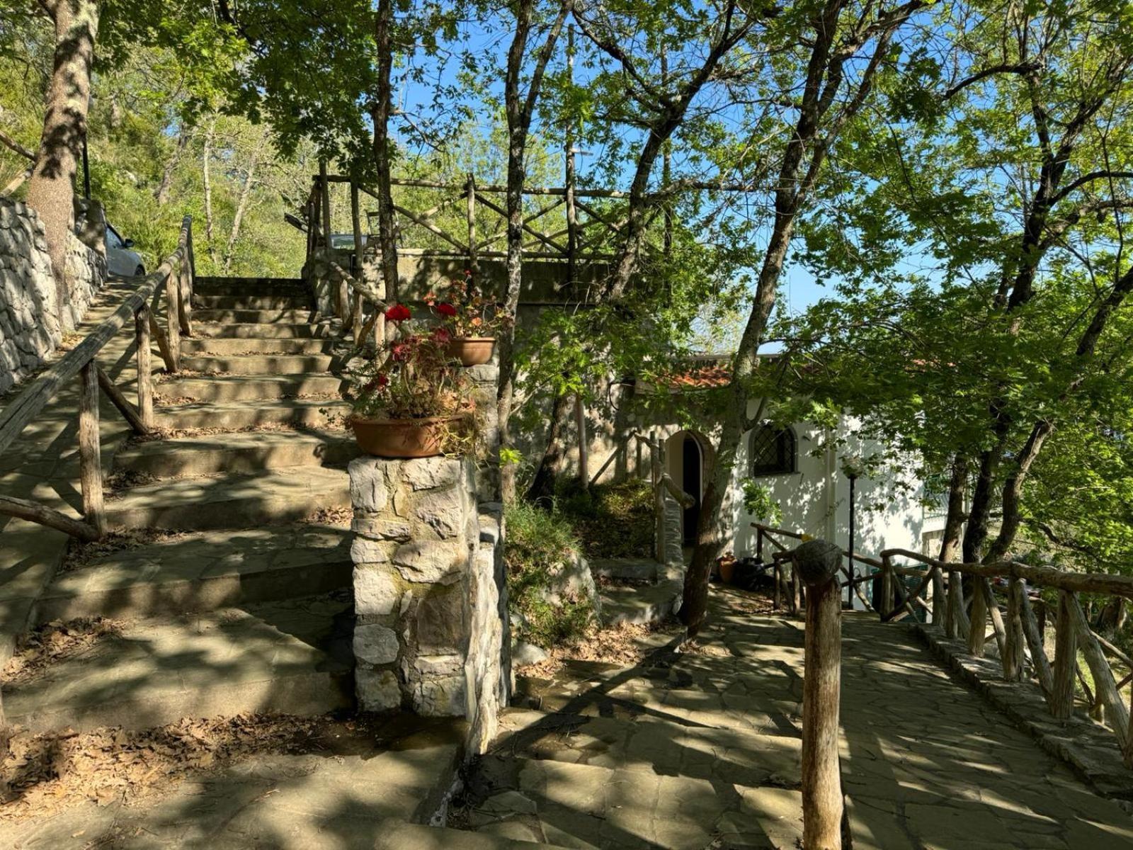 Bed and Breakfast Groove'N'Grove SantʼAgata sui Due Golfi Zewnętrze zdjęcie